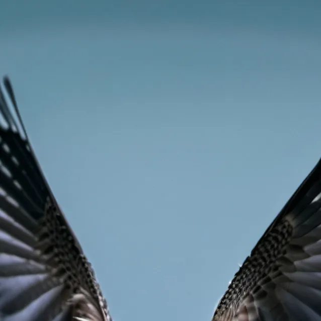 chat with ai character: Al