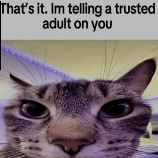 creator jay the great 3's avatar