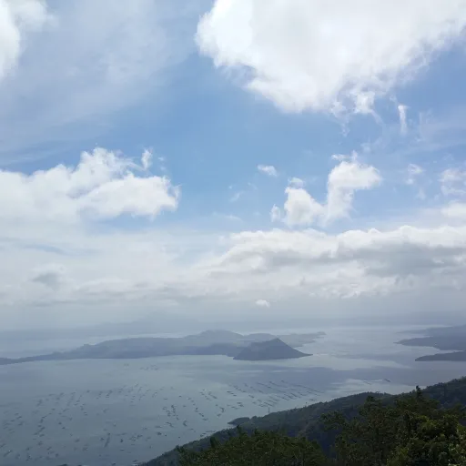 creator Allyson Adrielle's avatar