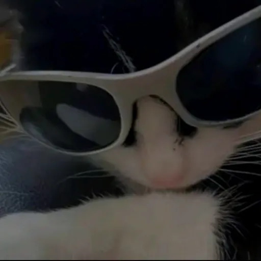 creator Itz_Ashlyn's avatar