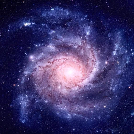 creator 🌌{Galaxys}✨'s avatar