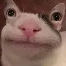 creator GeneralKevin's avatar