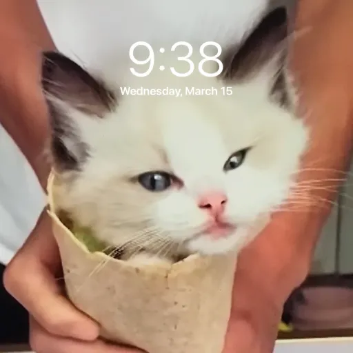 creator 🌙✨moonstar✨🌙's avatar