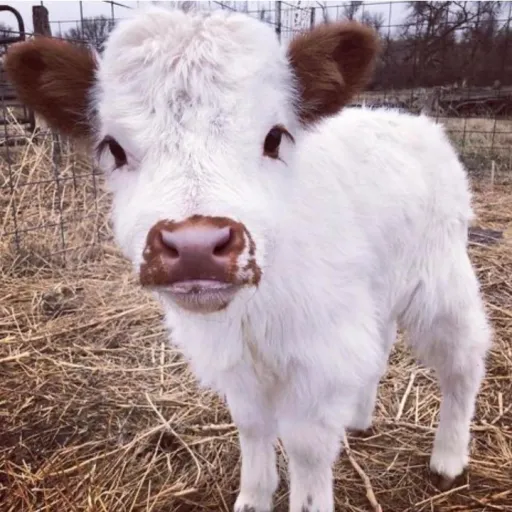 creator 🫠I'm depressed🫠's avatar