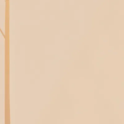 chat with ai character: Leo