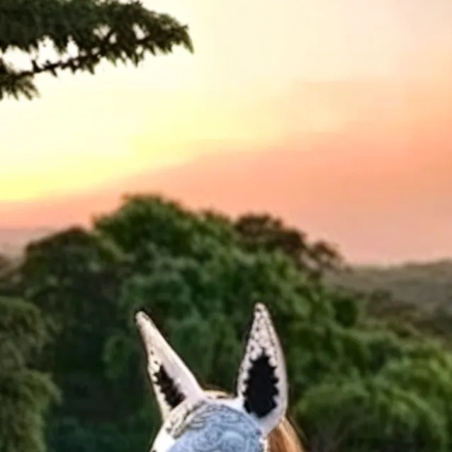 chat with ai character: MHA X ME (my life)