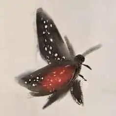 chat with ai character: Skz X Babymon