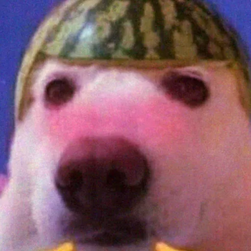 creator doggei27's avatar