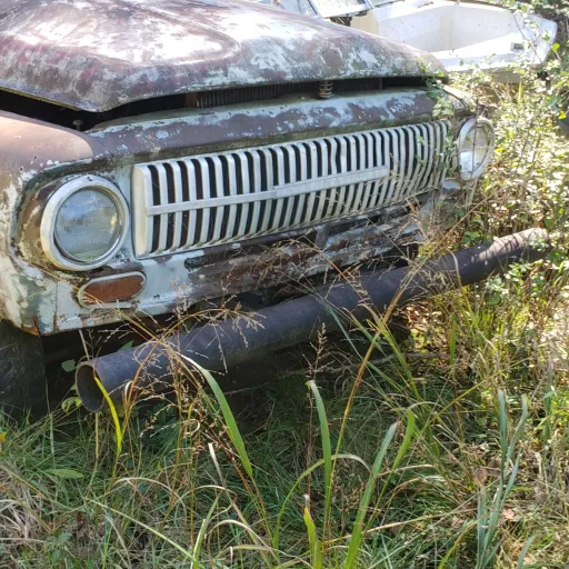 creator Talkior-SAewaC7f's avatar