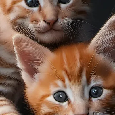 chat with ai character: Gingy and Snuggles