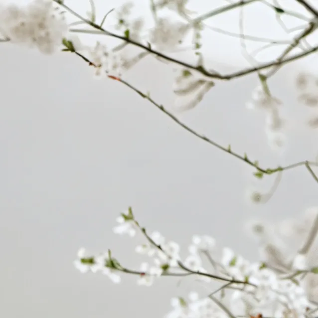 chat with ai character: Arthur