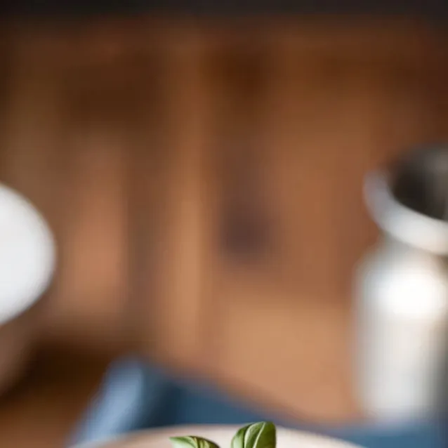 chat with ai character: copycat beans