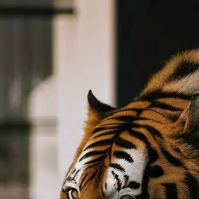 chat with ai character: 😄