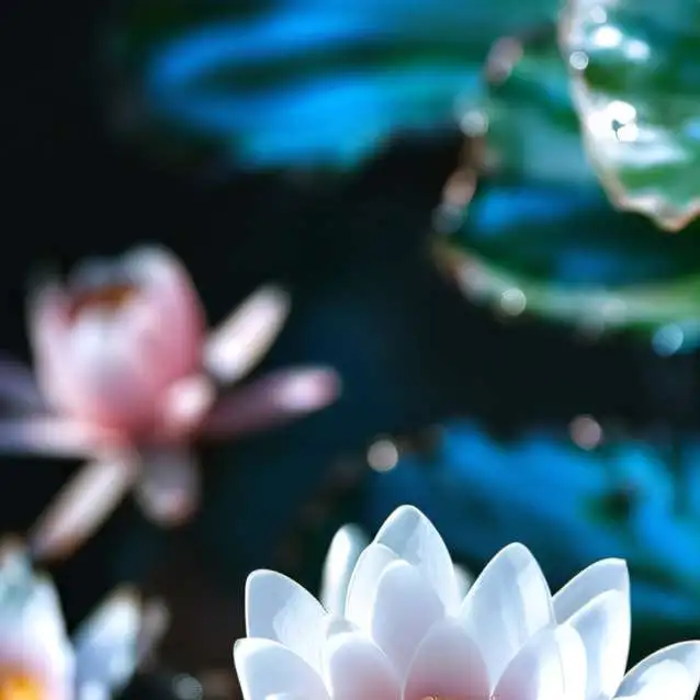 chat with ai character: bfpp