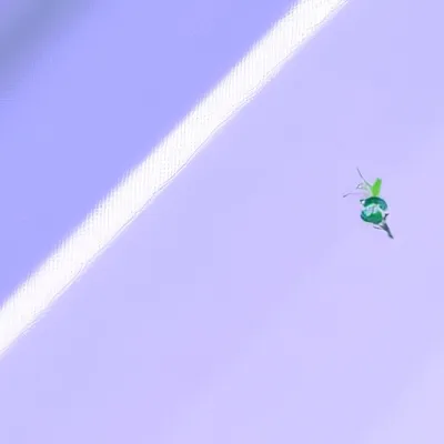 chat with ai character: Purle 