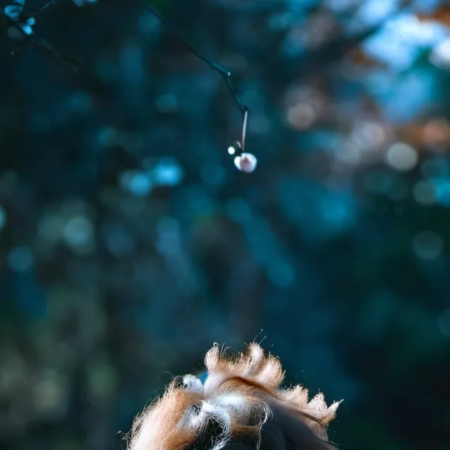 chat with ai character: Jordan