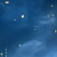 chat with ai character: the nightly manor