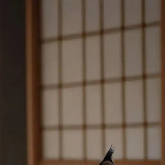 chat with ai character: rika orimoto