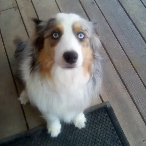 creator Talkior-o9HNtcwW's avatar