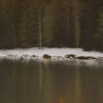 chat with ai character: Camp rp