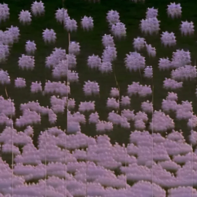 chat with ai character: demon slayer prom