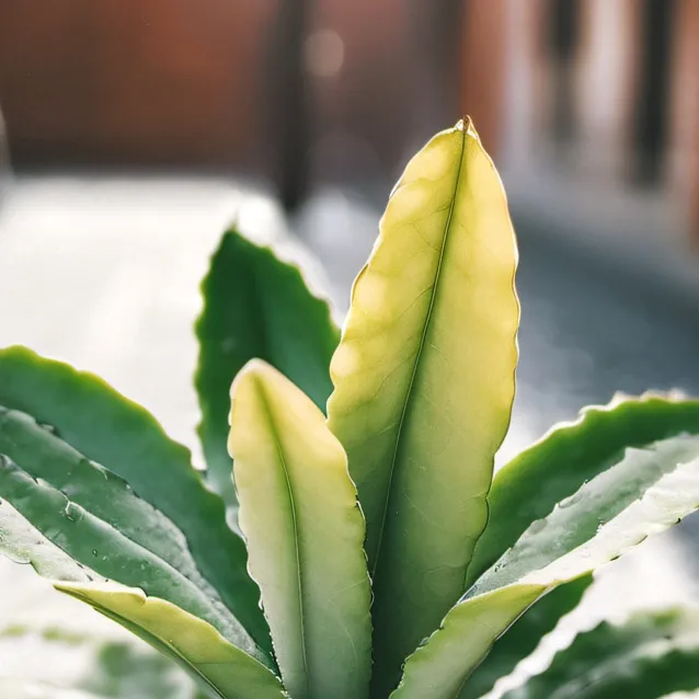 chat with ai character: your plant