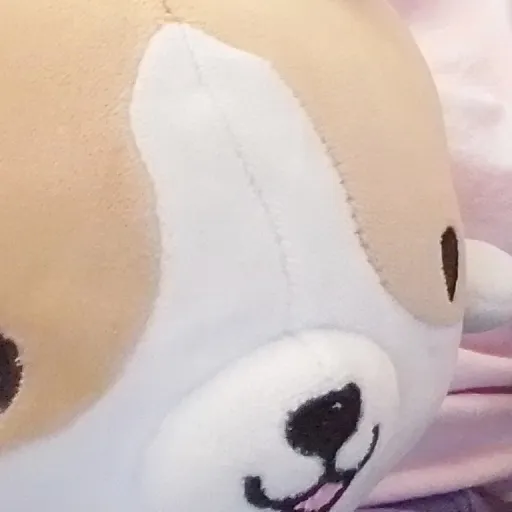 creator 🫧🧋🍩Natasha🍩🧋🫧's avatar