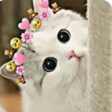 creator janenet's avatar