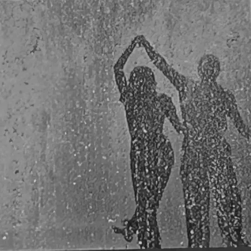 creator U-T8c6CYPtEmnJD's avatar