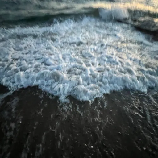 creator ~moon wave~'s avatar