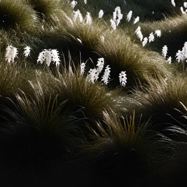 chat with ai character: grass