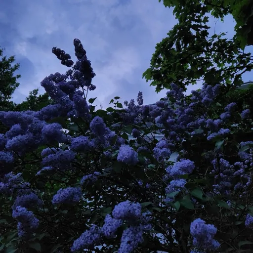 creator TalkiorRo's avatar