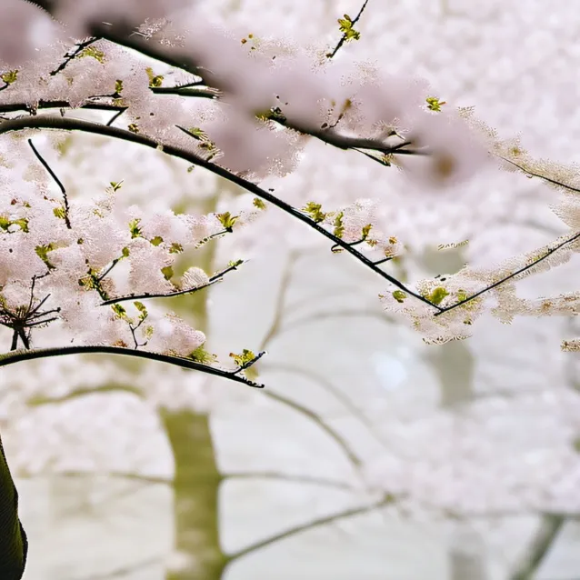 chat with ai character: ideas