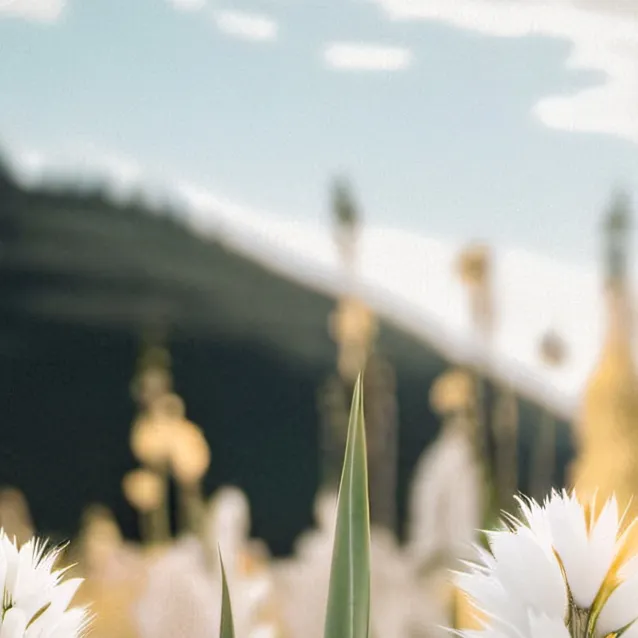 chat with ai character: touch grass