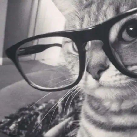 creator ¿Y/N?134's avatar