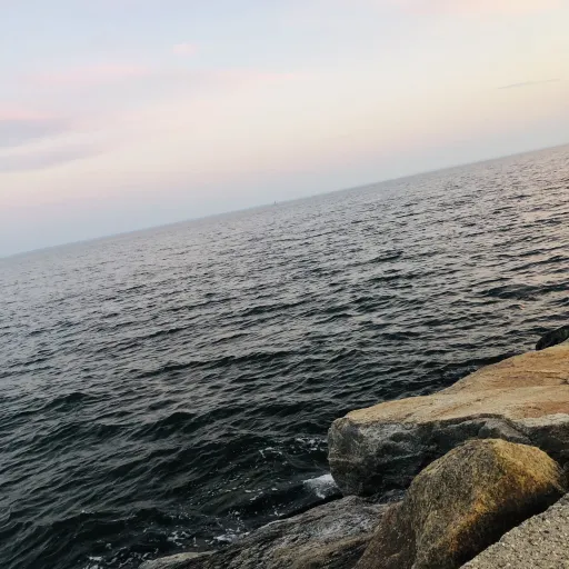 creator Rosé_899's avatar