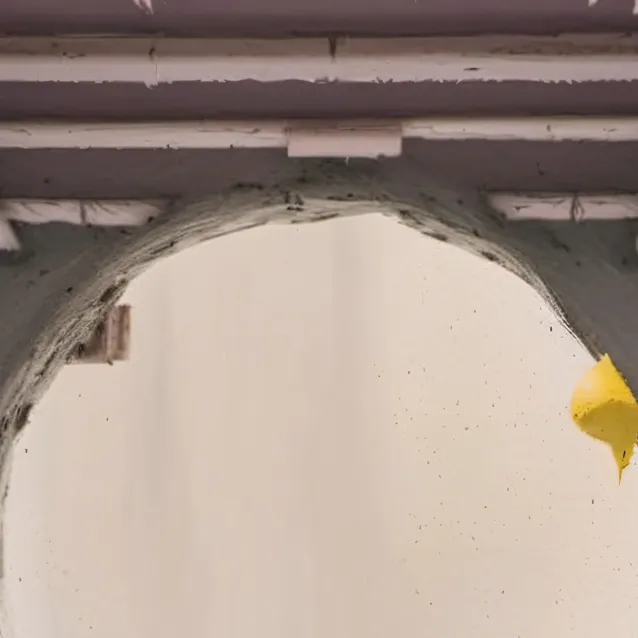 chat with ai character: sprout Among Us