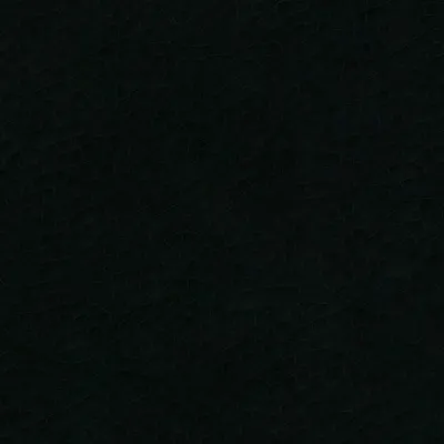 chat with ai character: Insight (WoF)