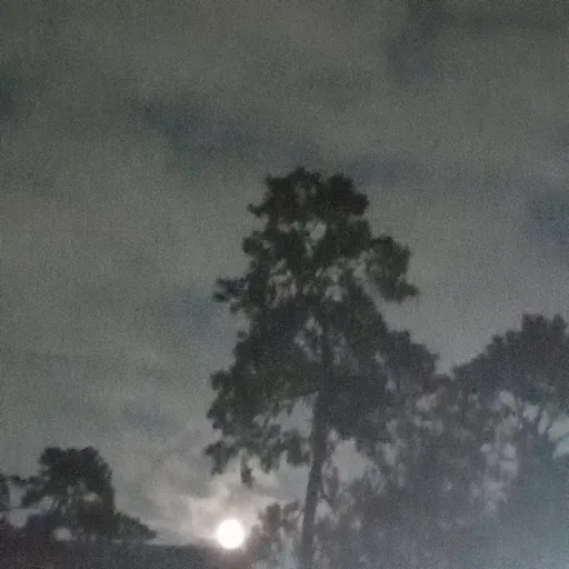 creator 𝙰𝚖𝚎𝚕𝚒𝚊𝚊<𝟹𝟹's avatar