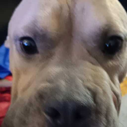 creator C banzzz's avatar