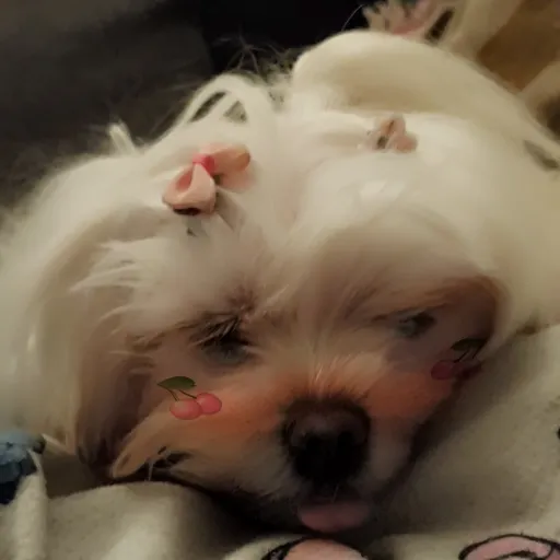 creator lucy321's avatar