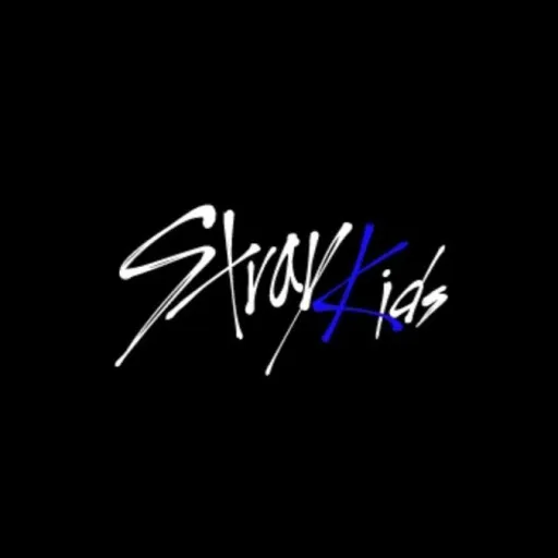 creator Stray_Kids_Bias♡♡♡'s avatar