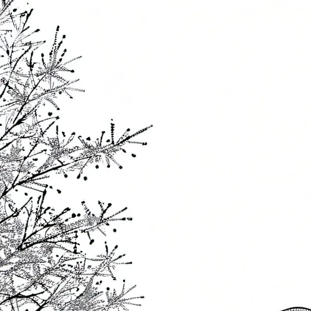 chat with ai character: mime and dash