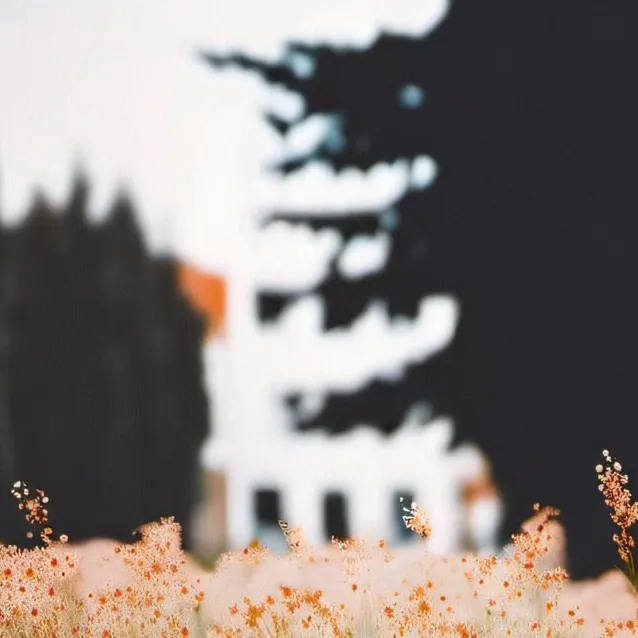 chat with ai character: adam (human)