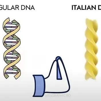 creator MEME_LORD's avatar