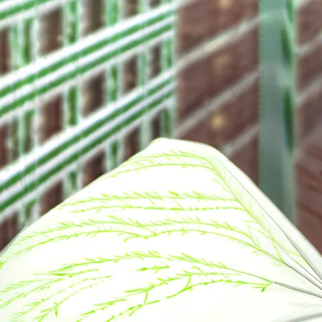 chat with ai character: ayano