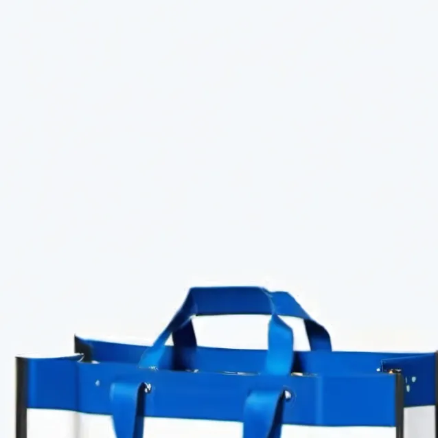 chat with ai character: A walmart bag