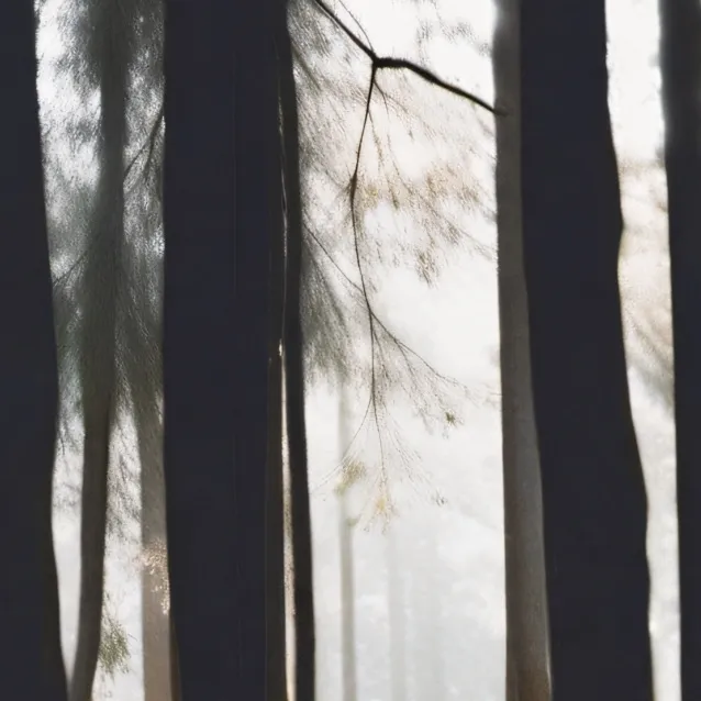 chat with ai character: cup heads