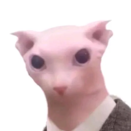 creator aurelia203's avatar