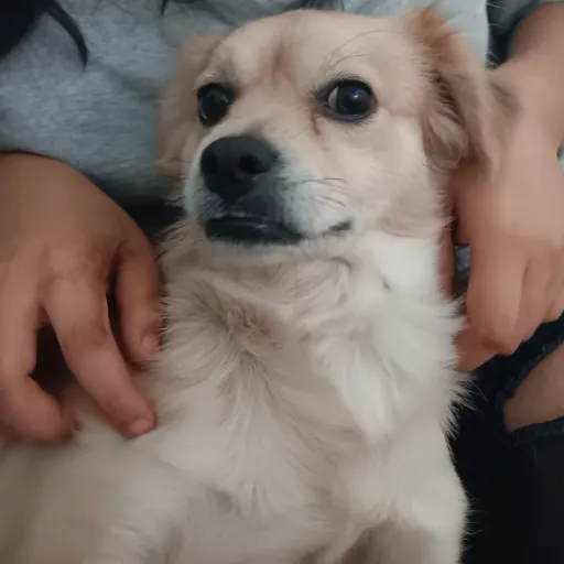 creator hatchyruruis83's avatar